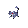 Shadow Rattata